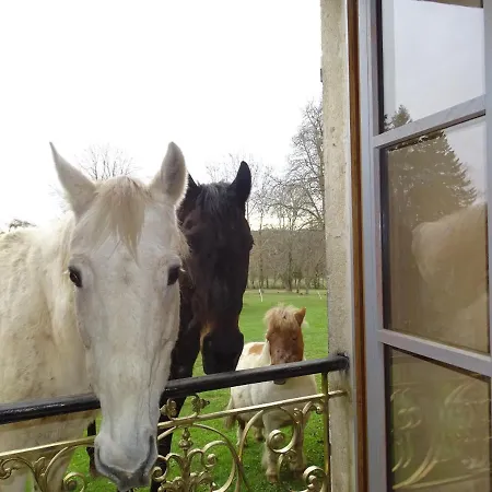 Chateau De La Forie Oda ve Kahvaltı Saint-Etienne-sur-Usson