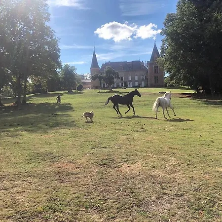 Bed & Breakfast Chateau De La Forie