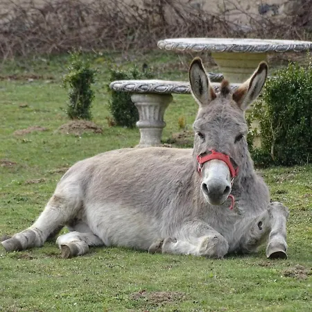 Oda ve Kahvaltı Chateau De La Forie Saint-Etienne-sur-Usson