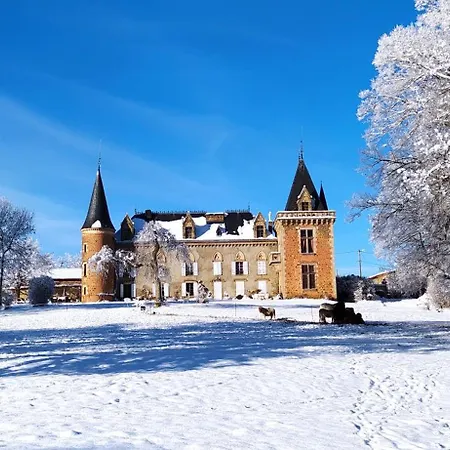 Chateau De La Forie Bed & Breakfast