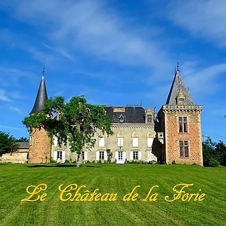 Bed and breakfast Chateau De La Forie