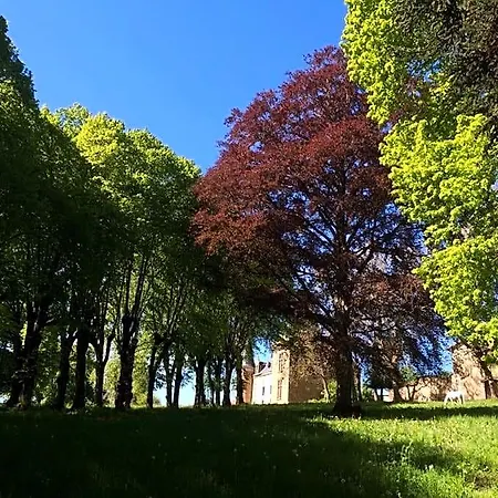 Chateau De La Forie Bed and breakfast