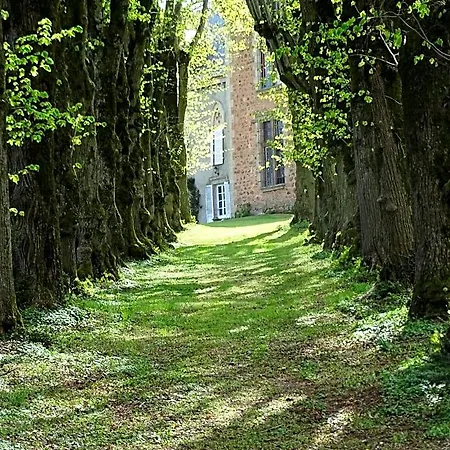 Bed and breakfast Chateau De La Forie Saint-Etienne-sur-Usson
